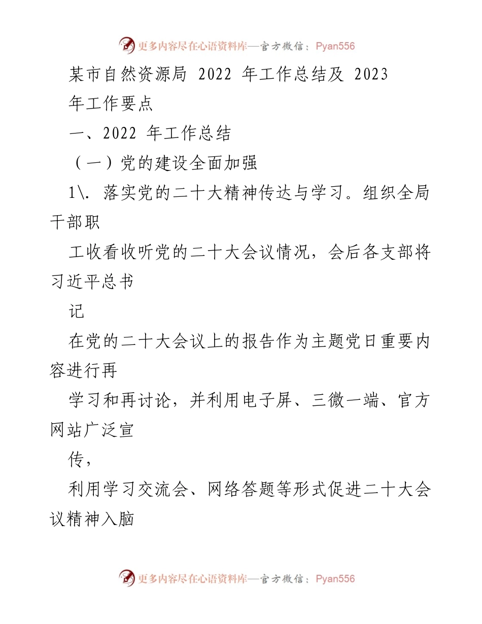 [工作总结] 自然资源局 - 2022年工作总结与2023年工作要点分析.docx_第1页