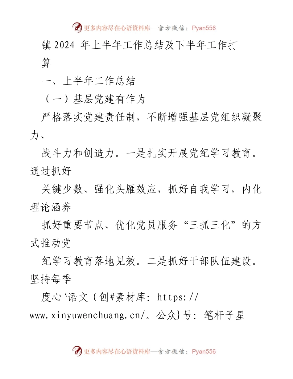 [工作总结] 镇政府 - 2024年上半年工作总结与下半年工作计划_3.docx_第1页