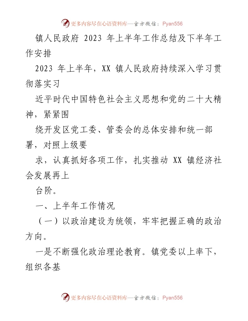 [工作总结] 镇人民政府 - 2023年上半年工作总结与下半年工作安排_1.docx_第1页