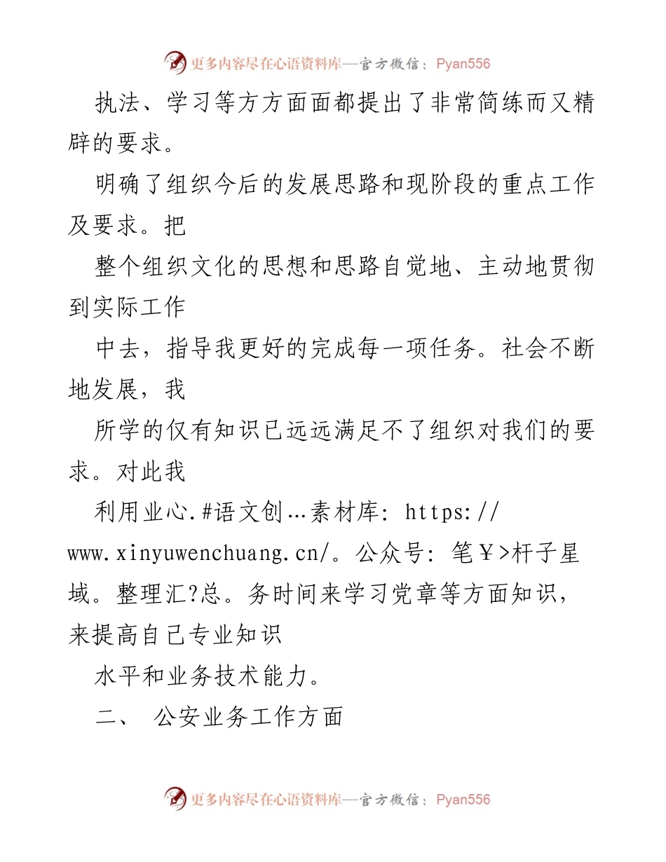 [工作总结] 辅警年度总结 - 辅警个人年度工作总结报告.docx_第2页