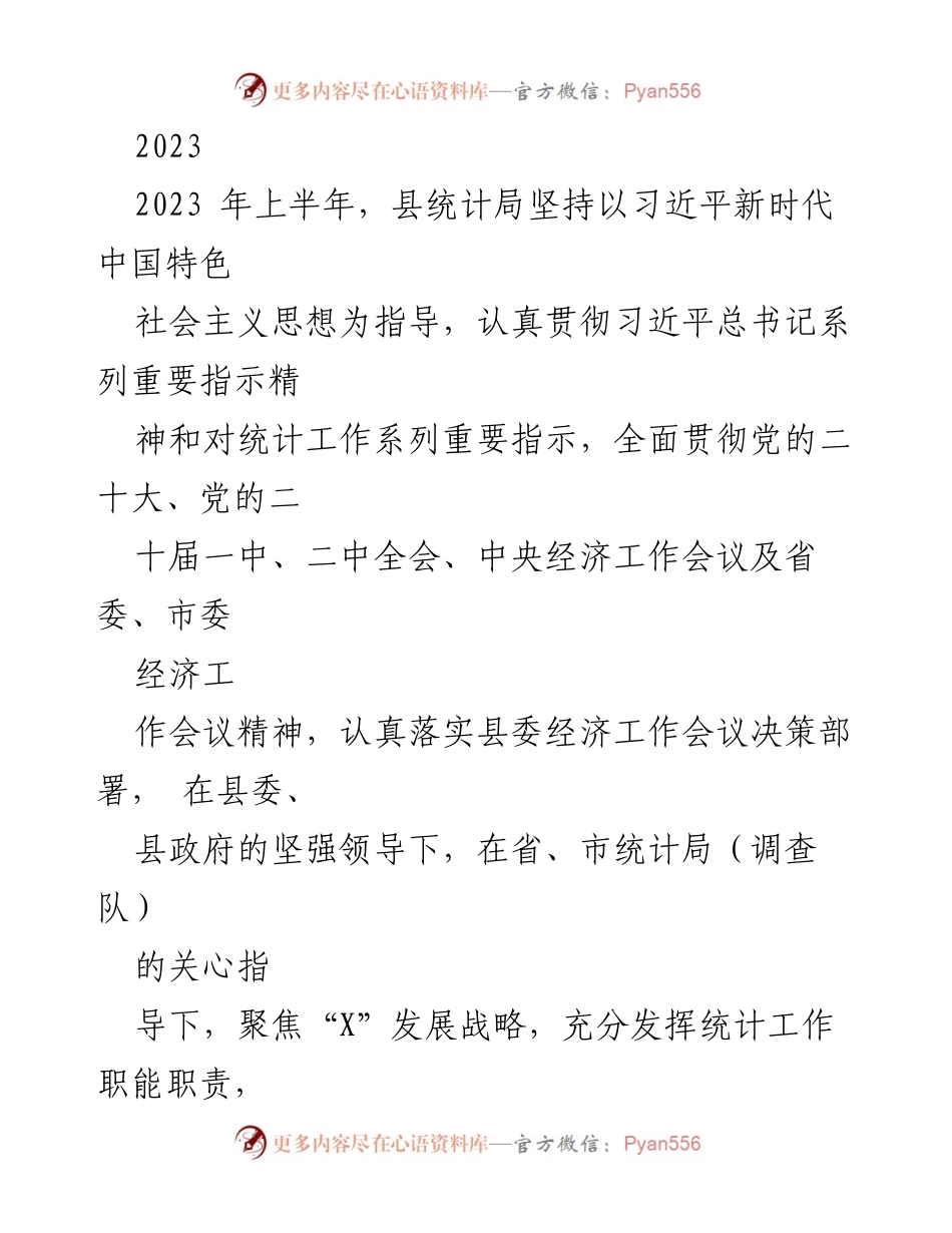[工作总结] 统计局 - 2023年上半年统计工作总结报告.docx_第1页