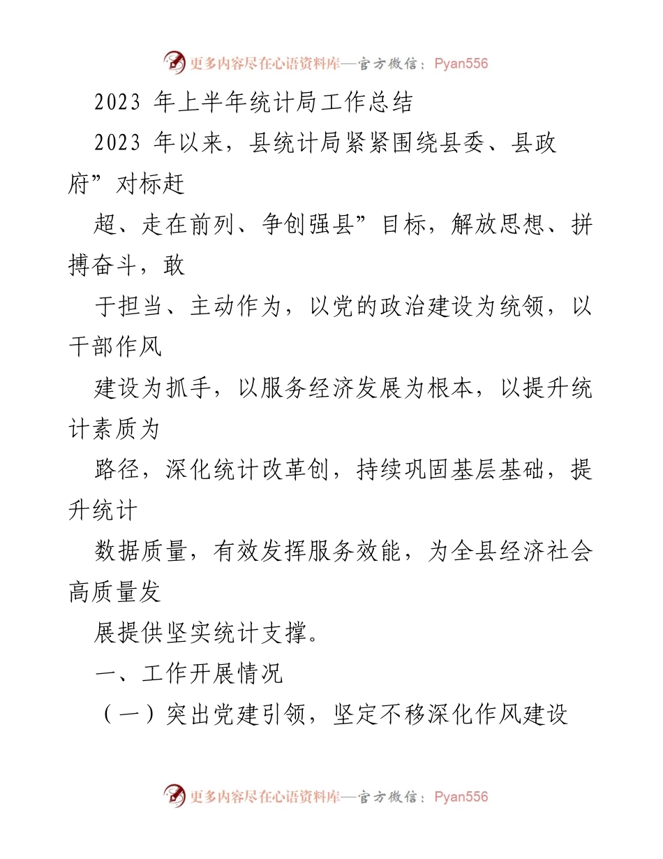 [工作总结] 统计局 - 2023年上半年统计局工作总结与改革成效.docx_第1页