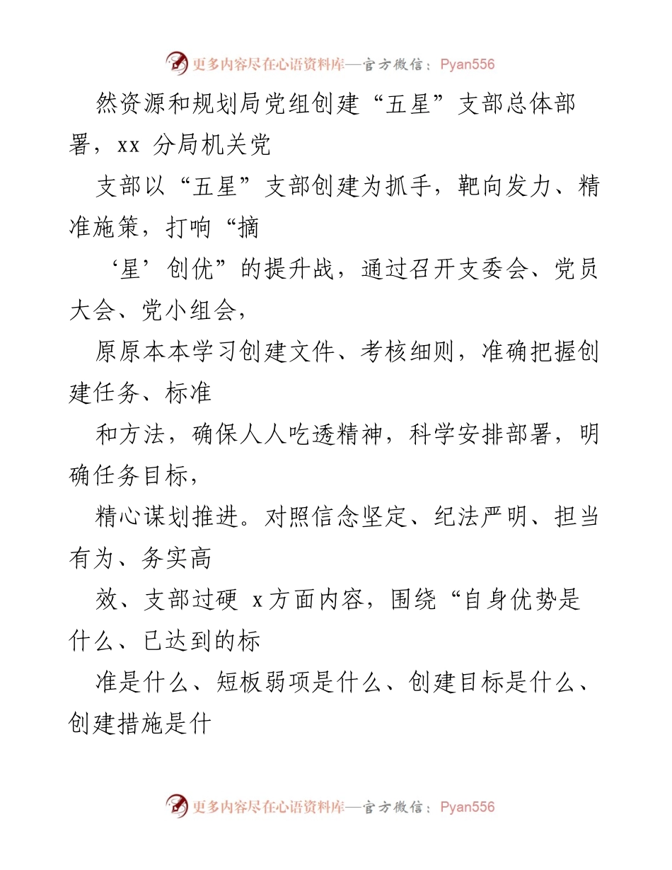 [工作总结] 自然资源和规划局 - “五星”支部创建工作汇报总结.docx_第2页