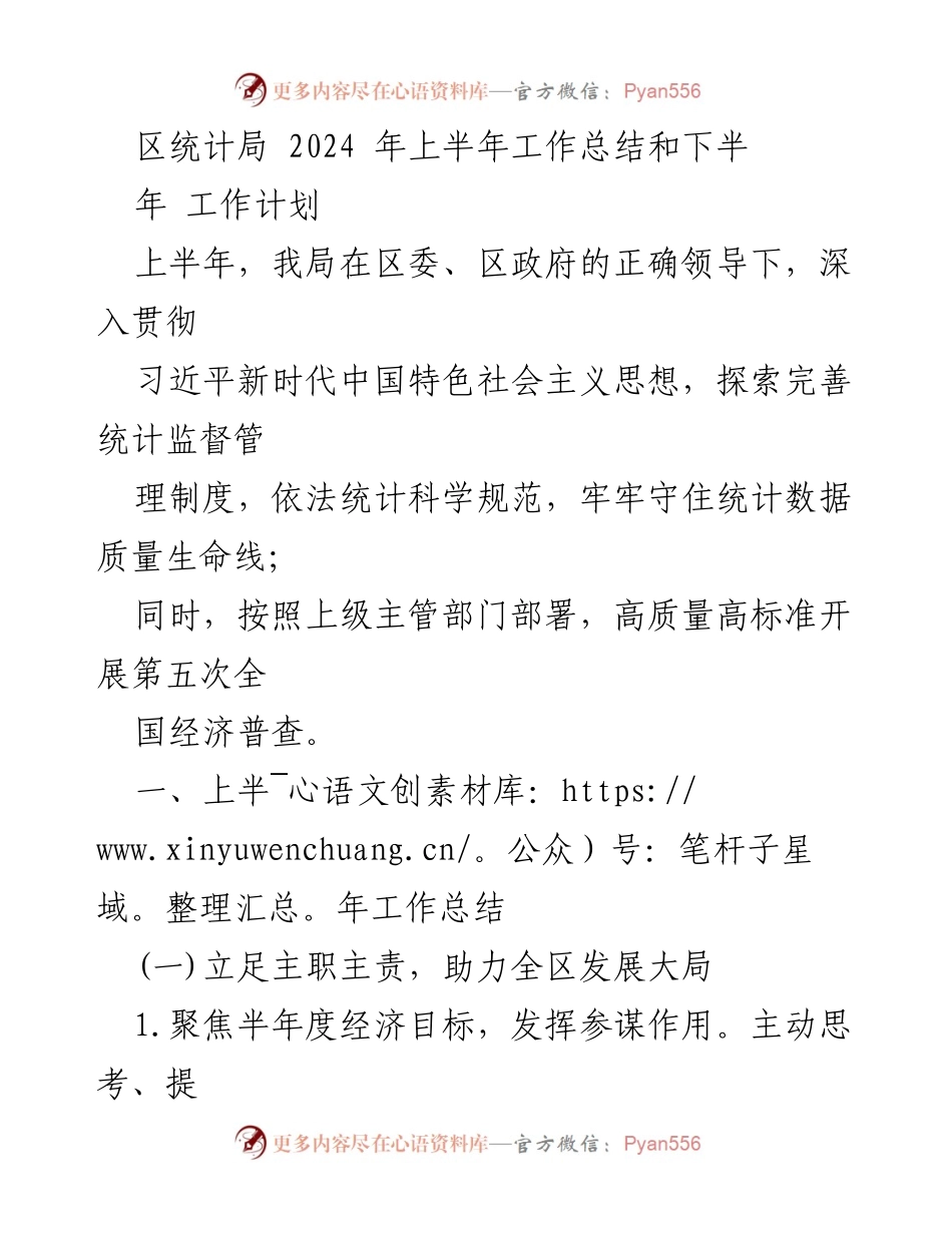 [工作总结] 统计局 - 2024年上半年工作总结与下半年工作计划.docx_第1页