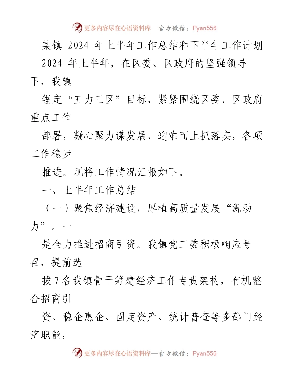 [工作总结] 镇政府 - 2024年上半年工作总结与下半年工作计划.docx_第1页