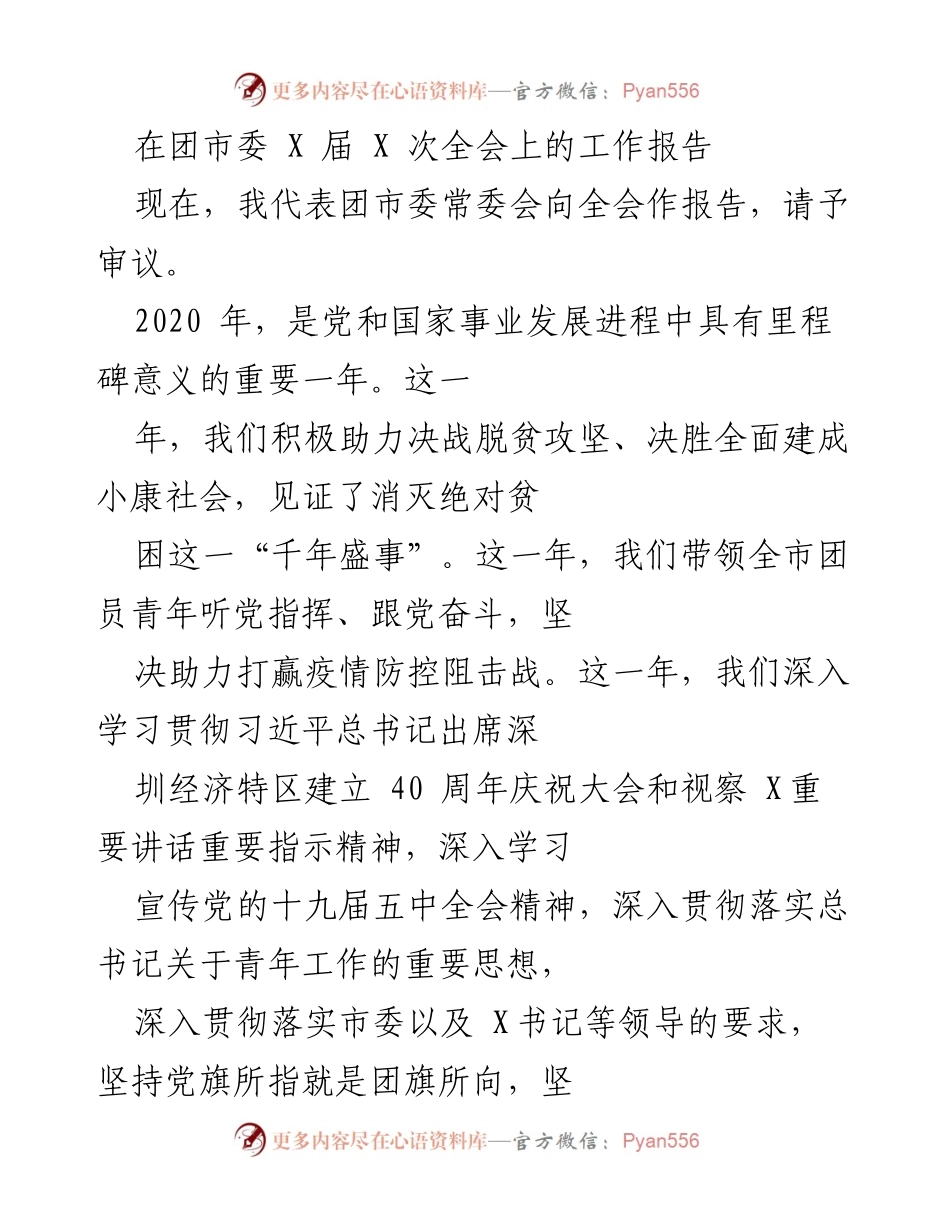 [工作报告] 团市委全会 - 团市委常委会工作报告总结.docx_第1页