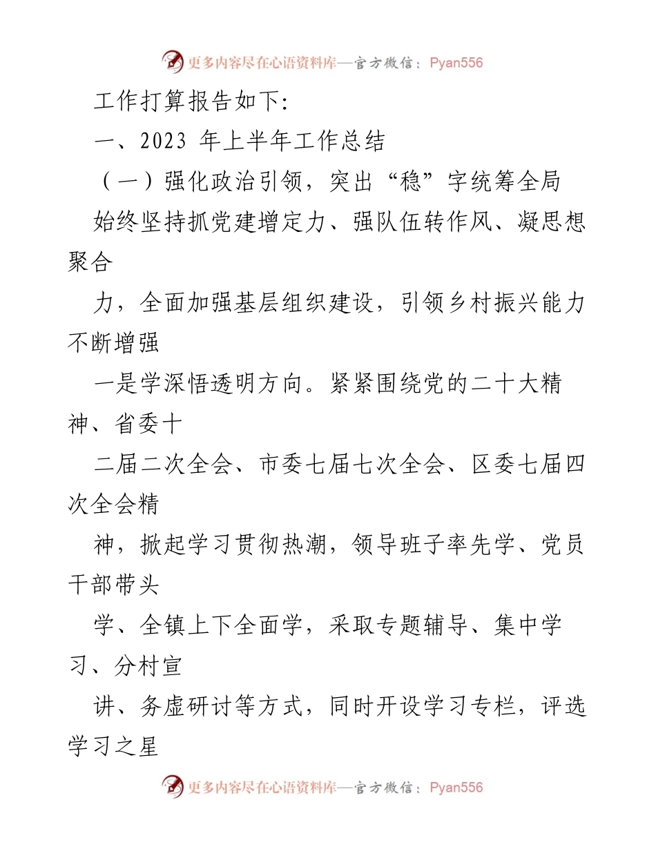 [工作总结] 镇乡工作会议 - 2023年上半年工作总结及下半年工作打算汇编.docx_第2页