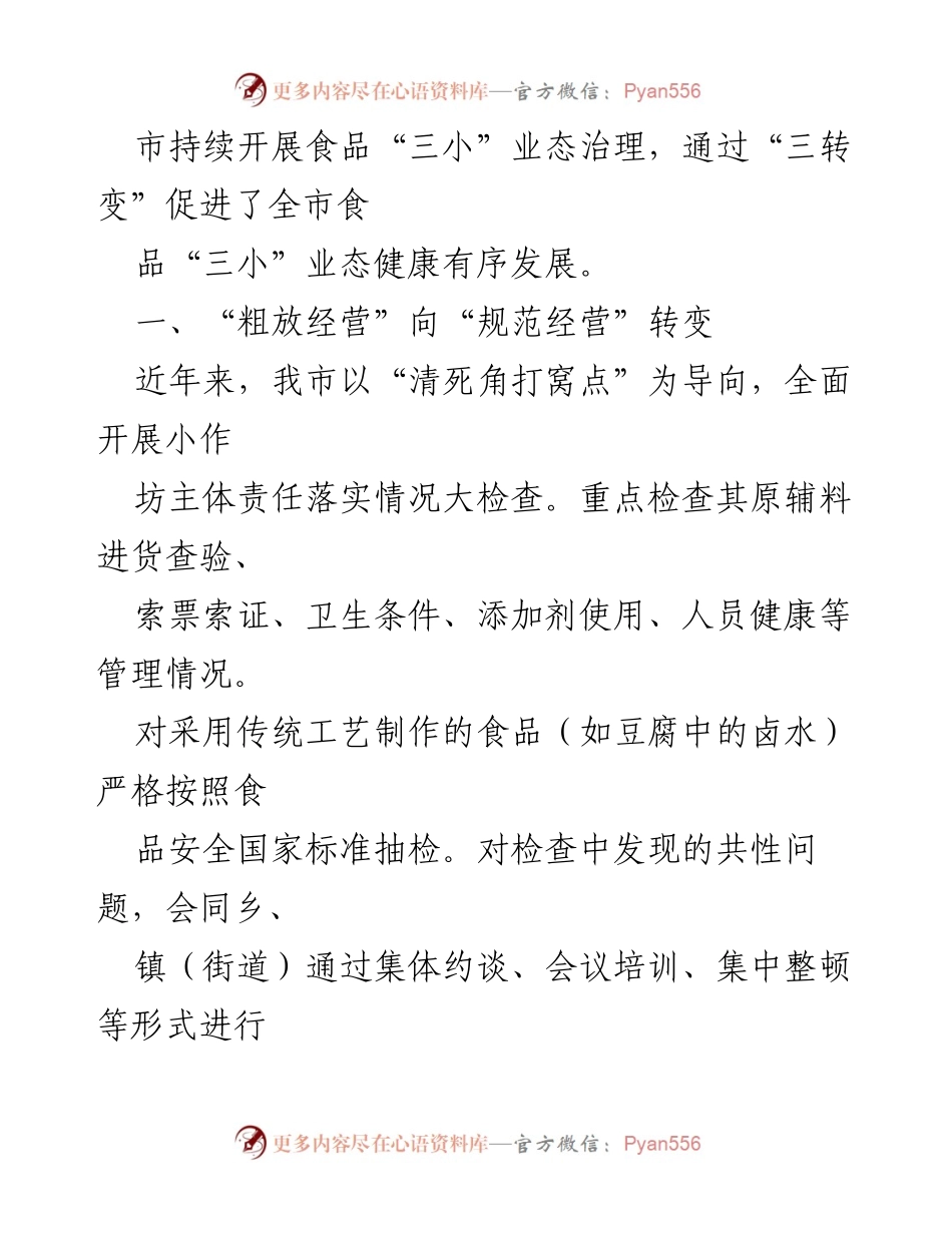 [工作总结] 食品安全治理 - 小作坊、小摊贩、小餐饮业态治理工作总结与经验分享.docx_第2页