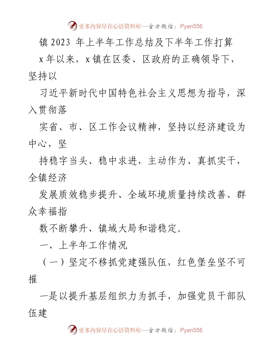 [工作总结] 镇务会议 - 2023年上半年工作总结与下半年工作计划.docx_第1页