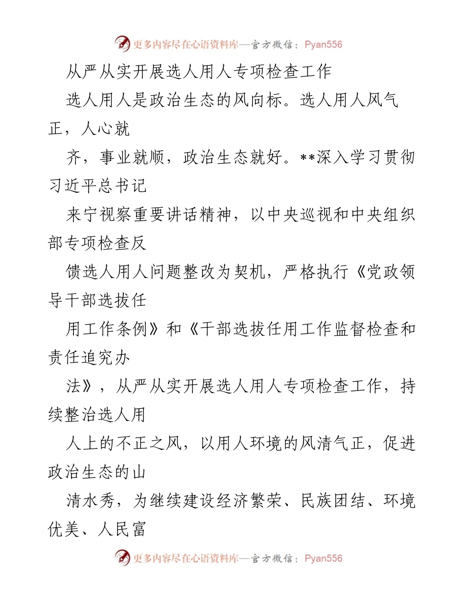 [工作总结] 选人用人专项检查 - 从严从实开展选人用人专项检查工作总结_1.docx_第1页