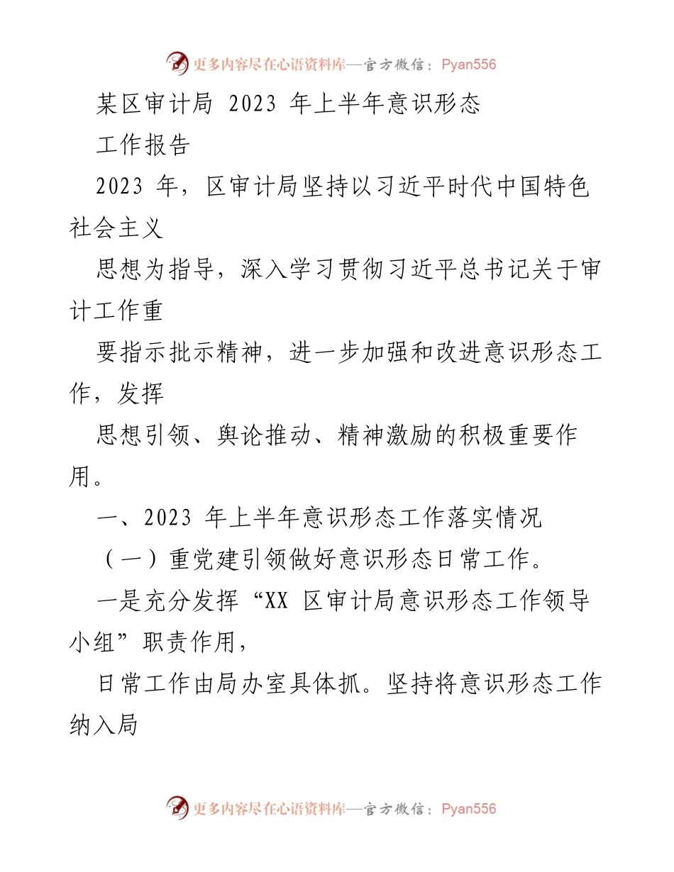 [工作报告] 审计局 - 2023年上半年意识形态工作总结.docx_第1页
