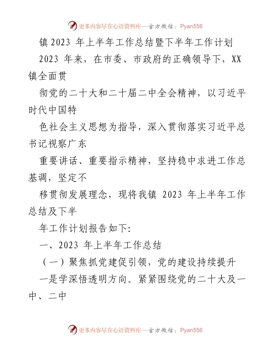 [工作总结] 镇政府 - 2023年上半年工作总结暨下半年工作计划.docx_第1页