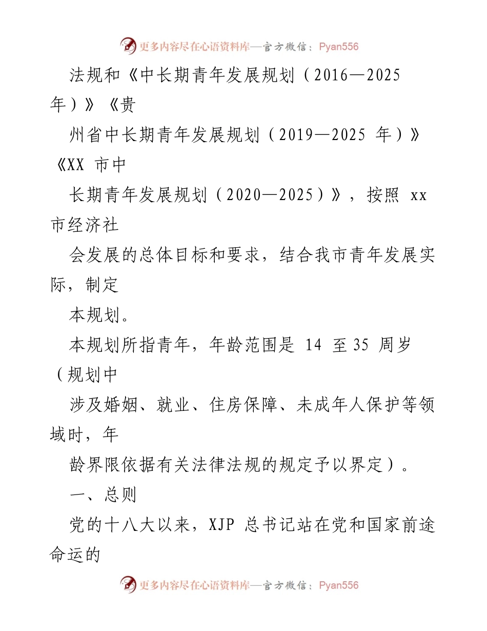 [工作总结] 青年发展规划 - XX市中长期青年发展规划（2020—2025）概述与实施策略.docx_第2页