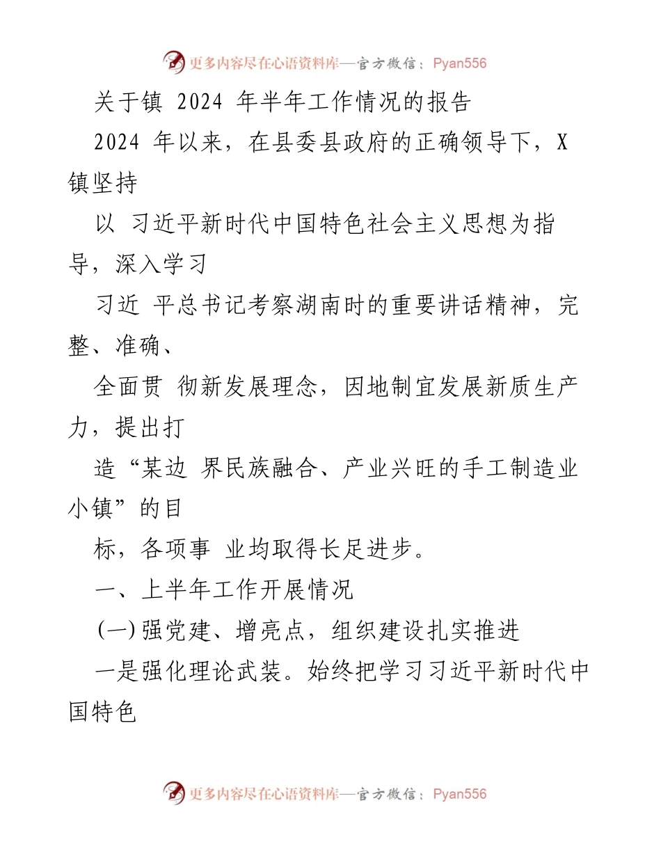 [工作总结] 镇政府 - 2024年上半年工作情况报告.docx_第1页