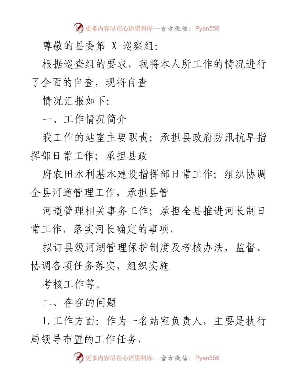 [工作总结] 自查报告及存在问题分析.docx_第1页