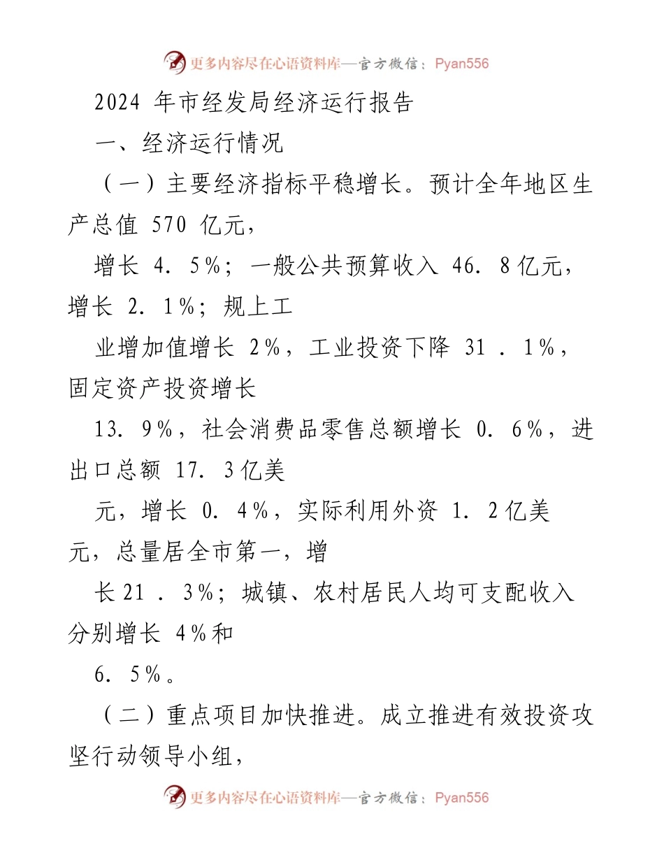 [工作总结] 经济运行分析 - 2024年市经发局经济运行情况总结.docx_第1页