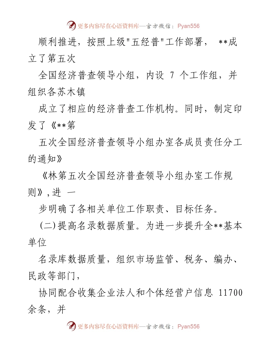 [工作总结] 经济普查 - 第五次全国经济普查工作进展情况汇报.docx_第2页