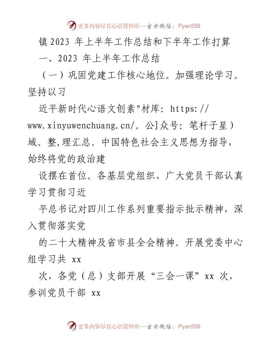 [工作总结] 镇党委会议 - 2023年上半年工作总结与下半年工作计划.docx_第1页