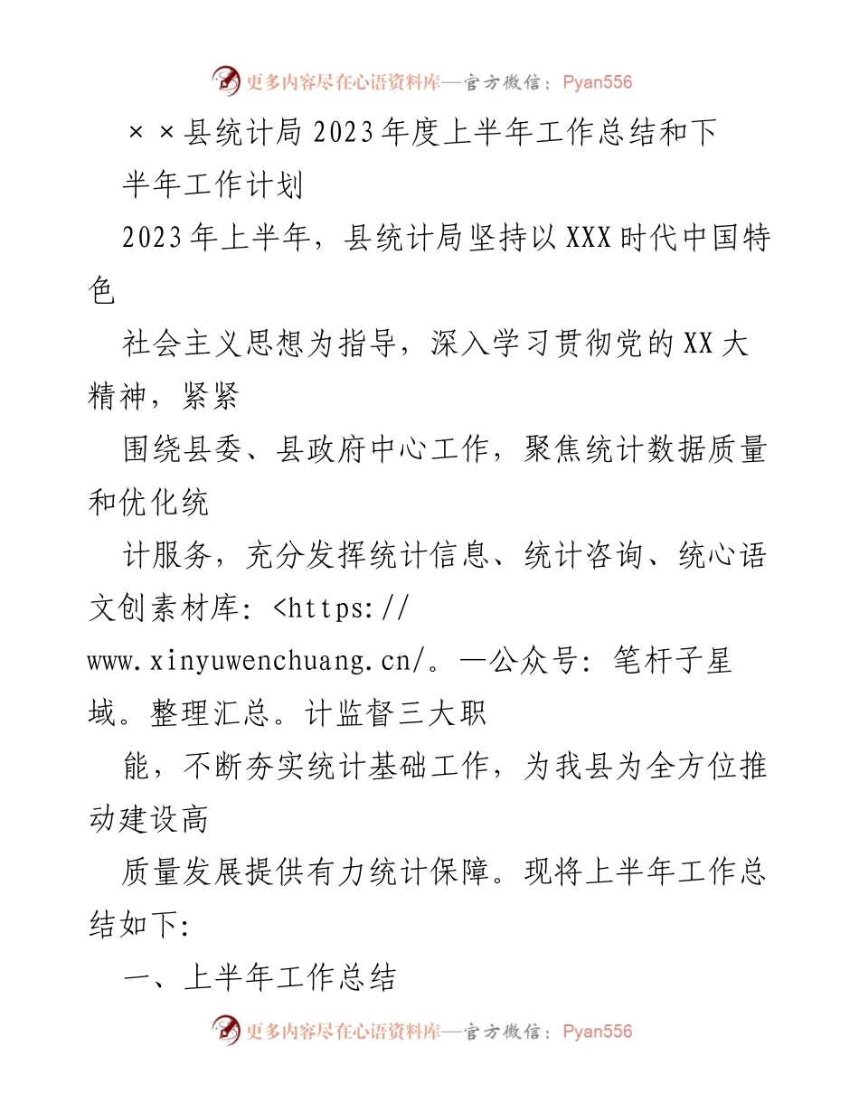 [工作总结] 统计局 - 2023年度上半年工作总结与下半年工作计划.docx_第1页