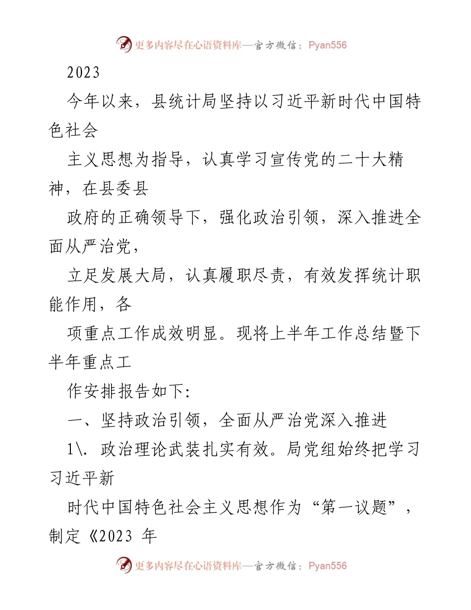 [工作总结] 统计局 - 2023年上半年工作总结与下半年重点工作安排报告.docx_第1页