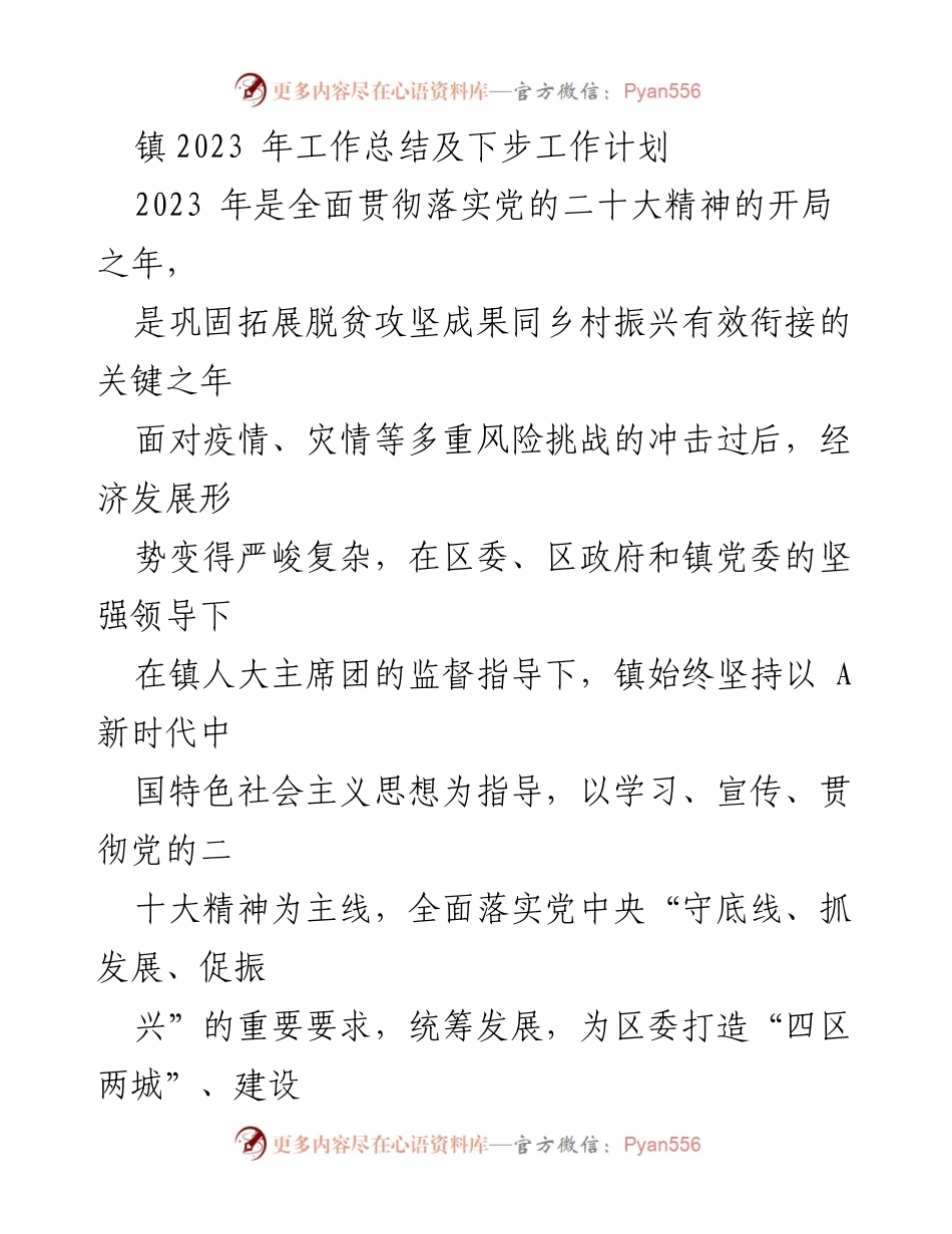 [工作总结] 镇政府 - 2023年工作总结及下步工作计划.docx_第1页