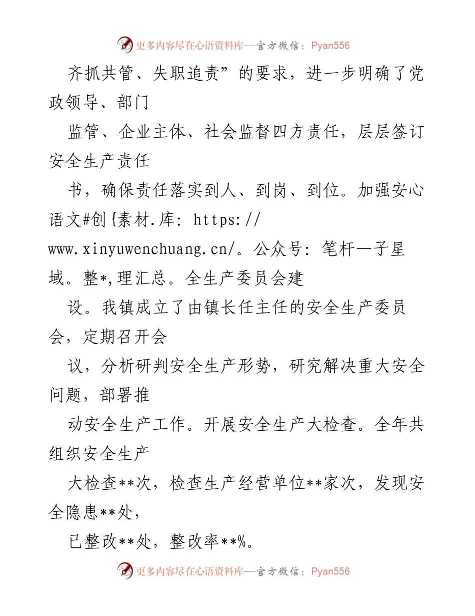 [工作总结] 镇安全生产工作 - 2024年度安全生产工作总结报告.docx_第2页