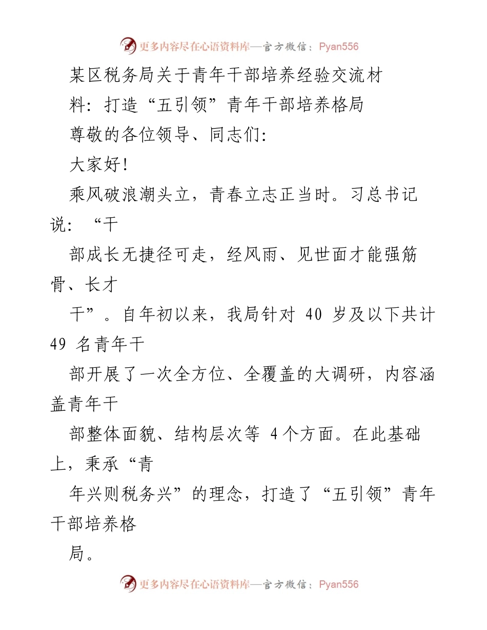 [工作总结] 青年干部培养 - 打造“五引领”青年干部培养格局.docx_第1页