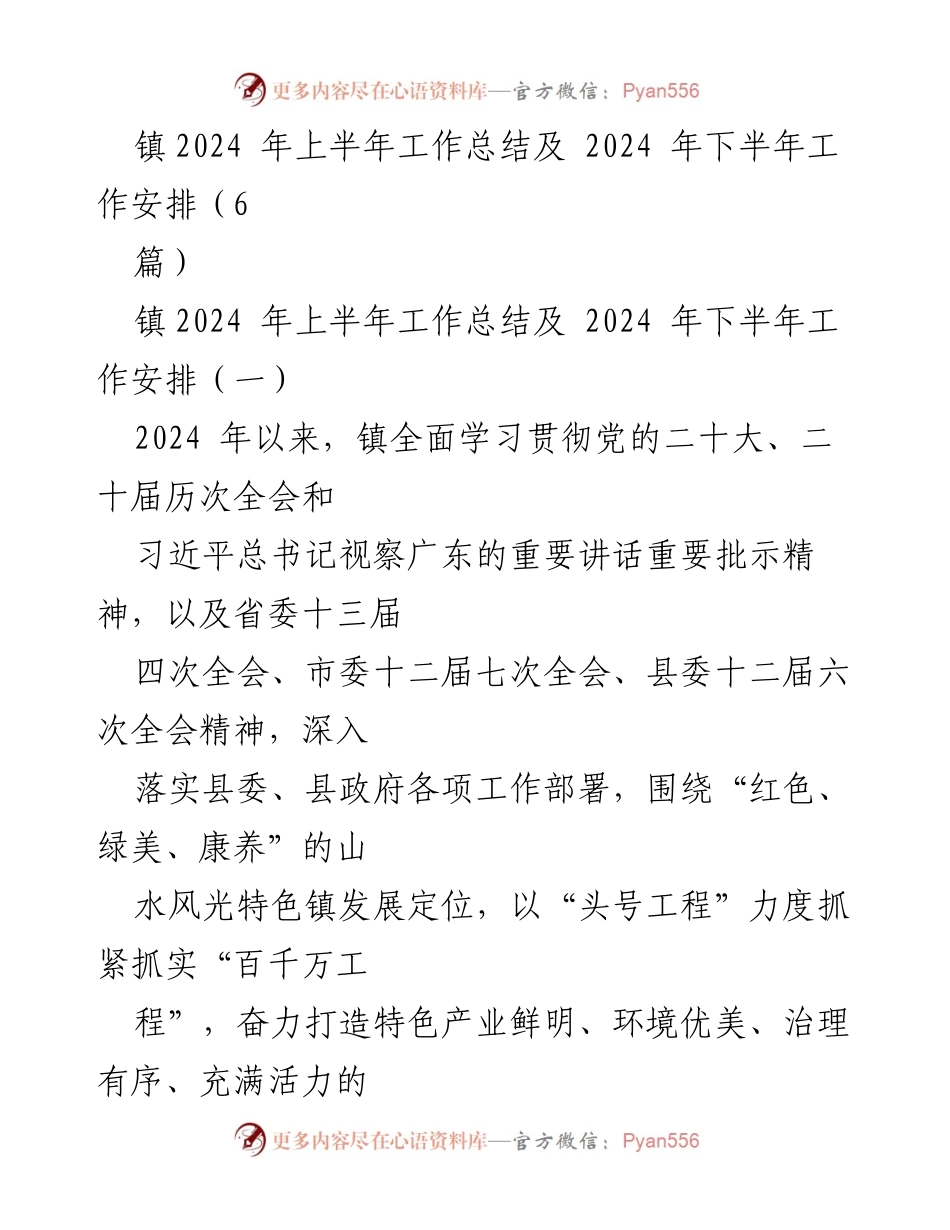 [工作总结] 镇上半年工作总结及下半年安排 - 2024年镇上半年工作总结与下半年发展规划.docx_第1页