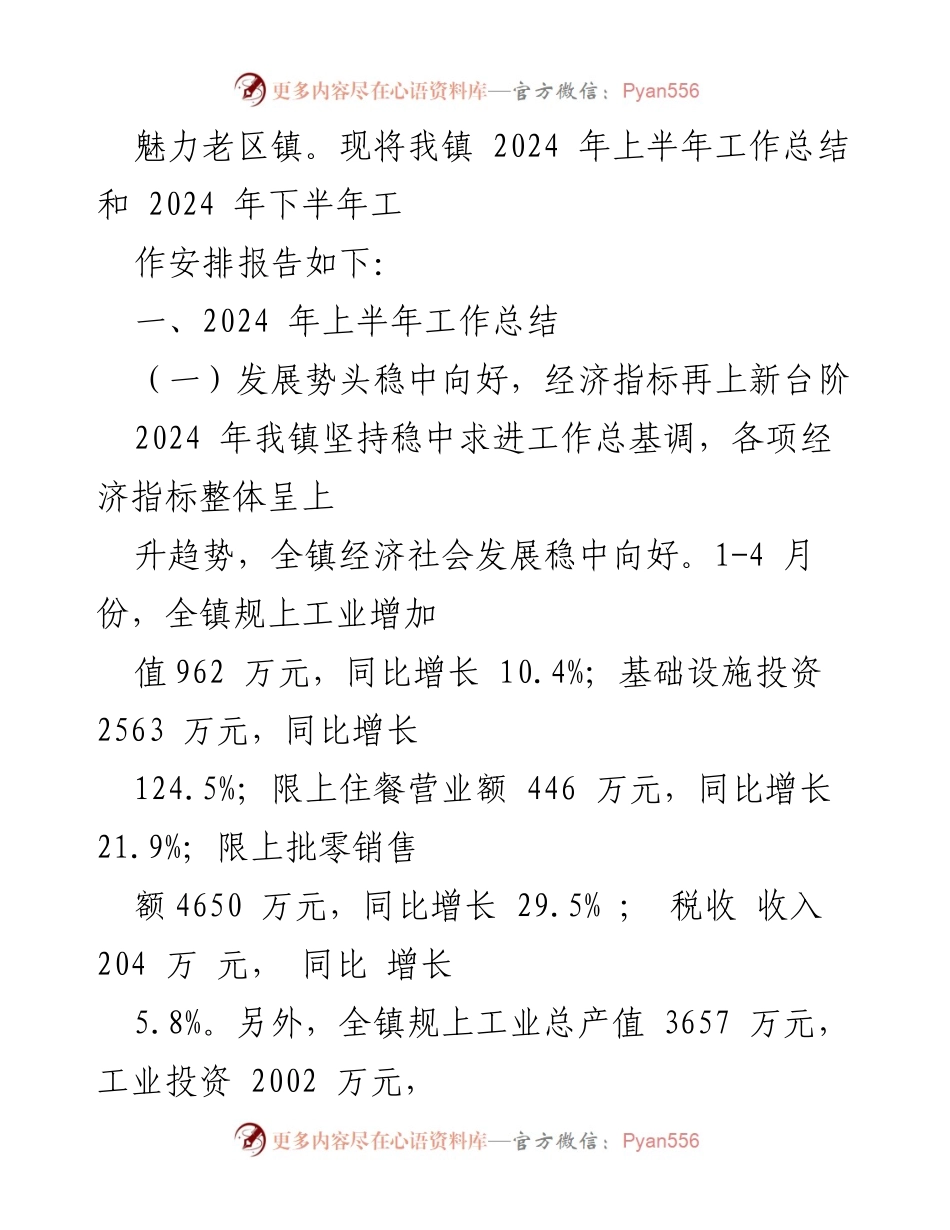 [工作总结] 镇上半年工作总结及下半年安排 - 2024年镇上半年工作总结与下半年发展规划.docx_第2页