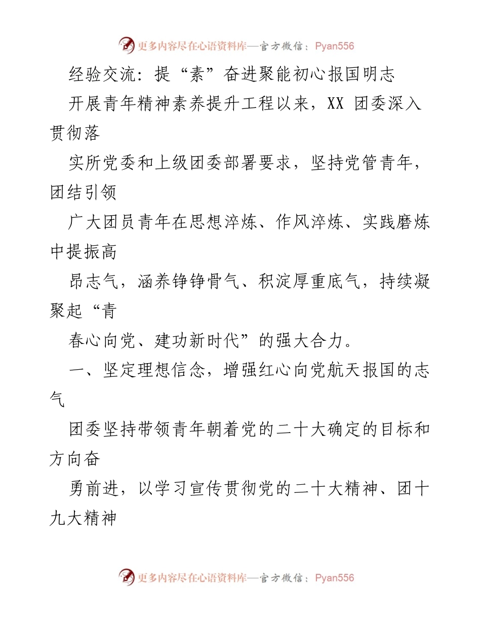 [工作总结] 经验交流 - 青年精神素养提升工程成效总结.docx_第1页