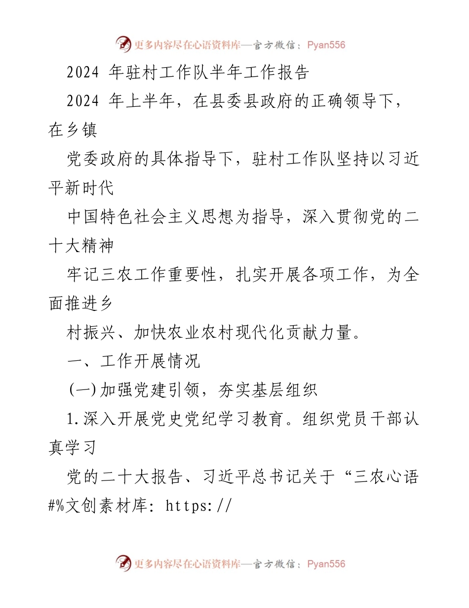 [工作总结] 驻村工作 - 2024年驻村工作队半年工作报告.docx_第1页