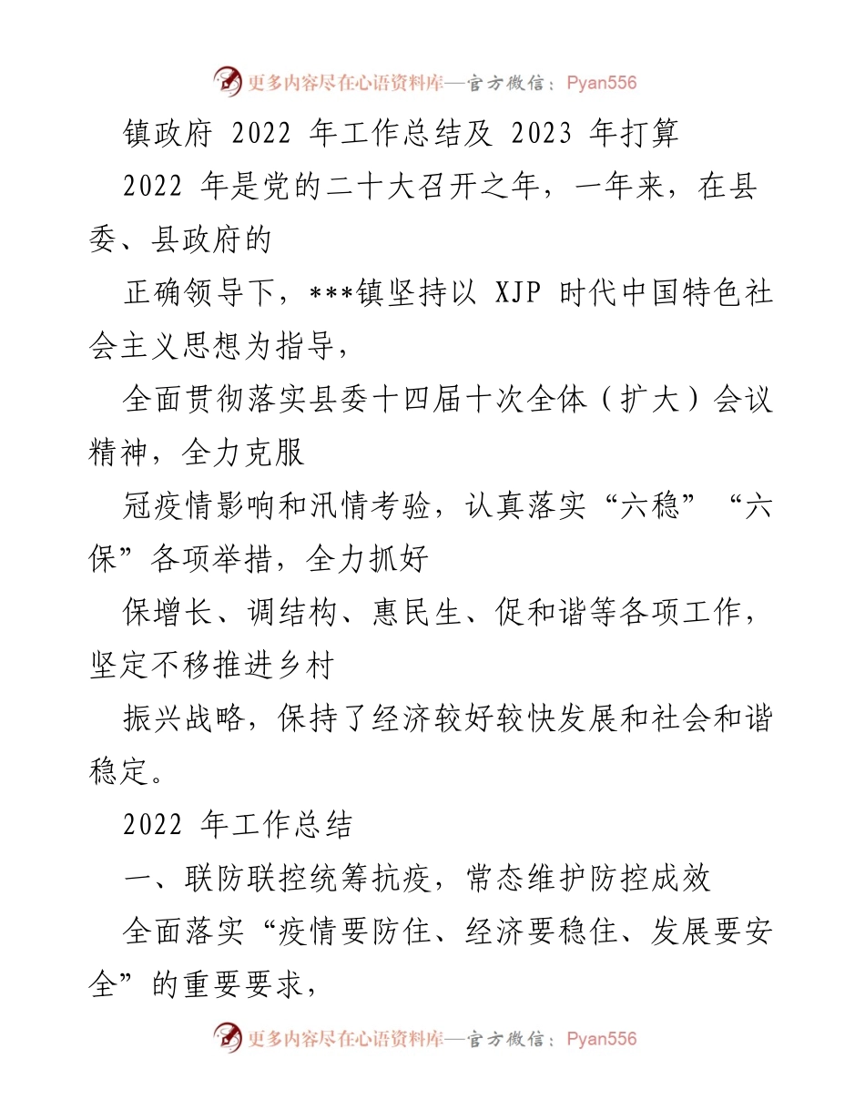 [工作总结] 镇政府 - 2022年工作总结及2023年打算.docx_第1页