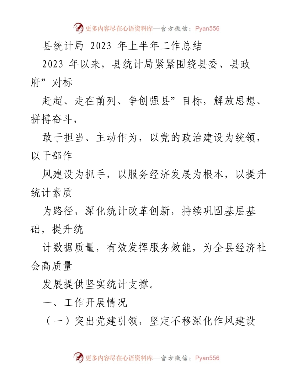 [工作总结] 统计局 - 2023年上半年统计局工作总结及服务经济发展成效.docx_第1页
