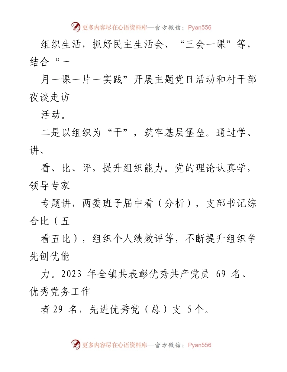[工作总结] 镇年度工作会议 - 2023年度工作总结及2024年度工作计划.docx_第2页