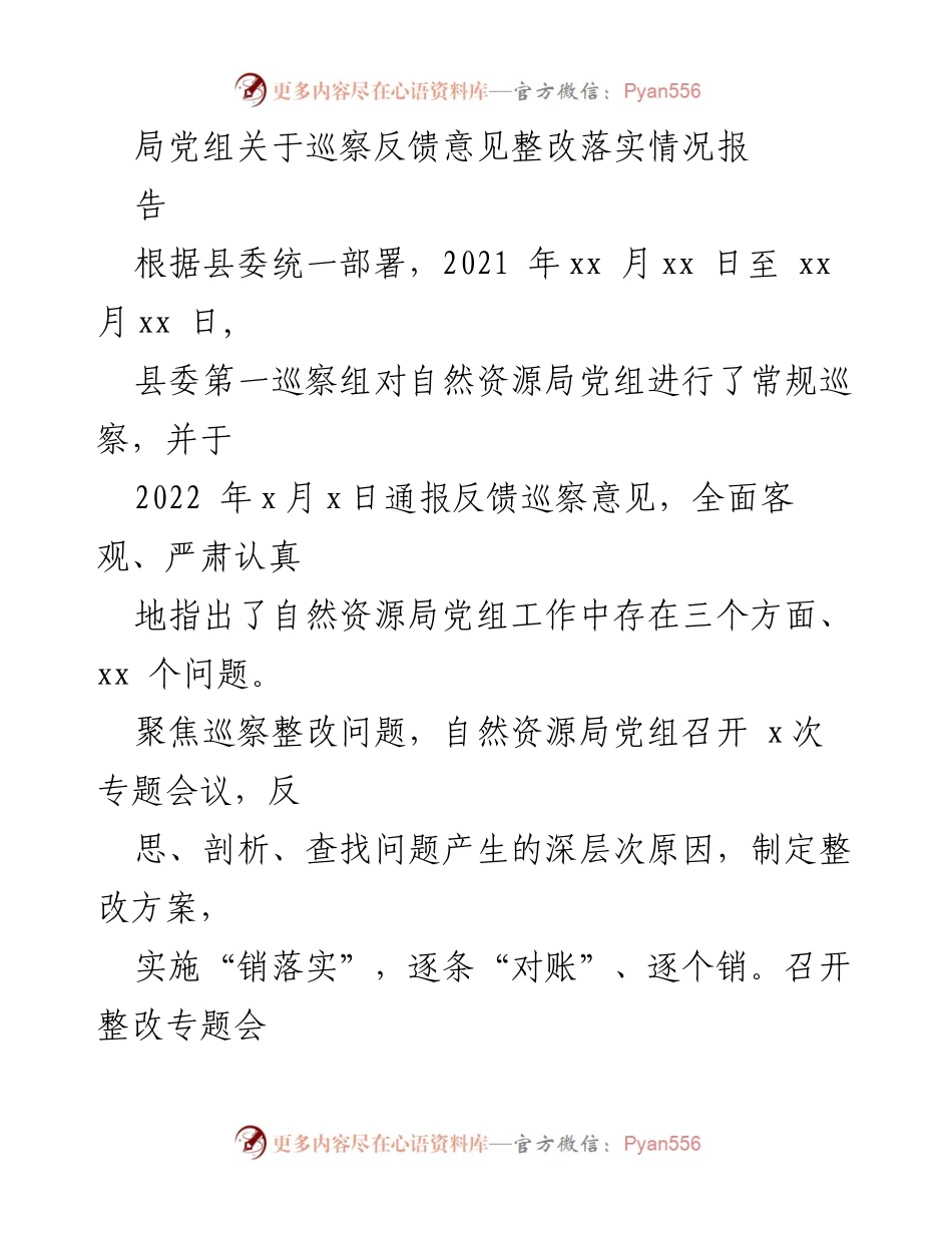 [工作总结] 自然资源局 - 巡察反馈意见整改落实情况报告.docx_第1页