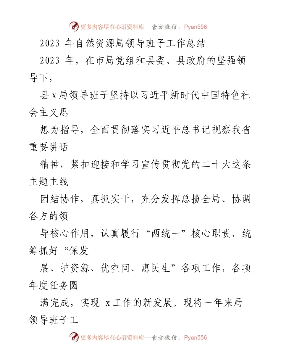 [工作总结] 自然资源局 - 2023年领导班子工作总结报告.docx_第1页