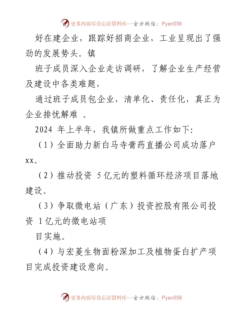 [工作总结] 镇政府 - XX镇2024年上半年工作总结与下半年计划.docx_第2页