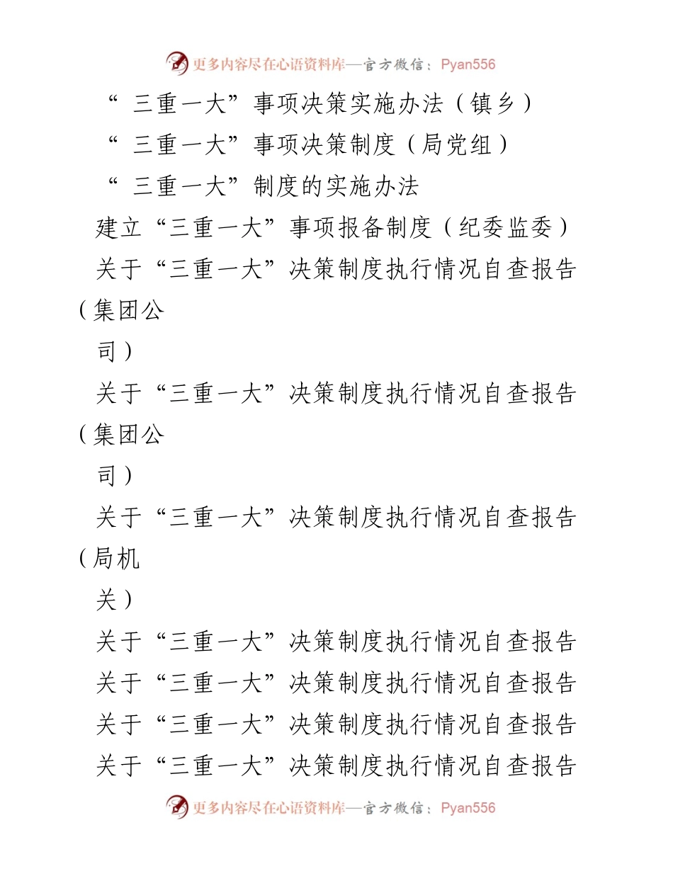 [工作总结] 集体决策制度 - “三重一大”集体决策制度实施办法汇编.docx_第2页