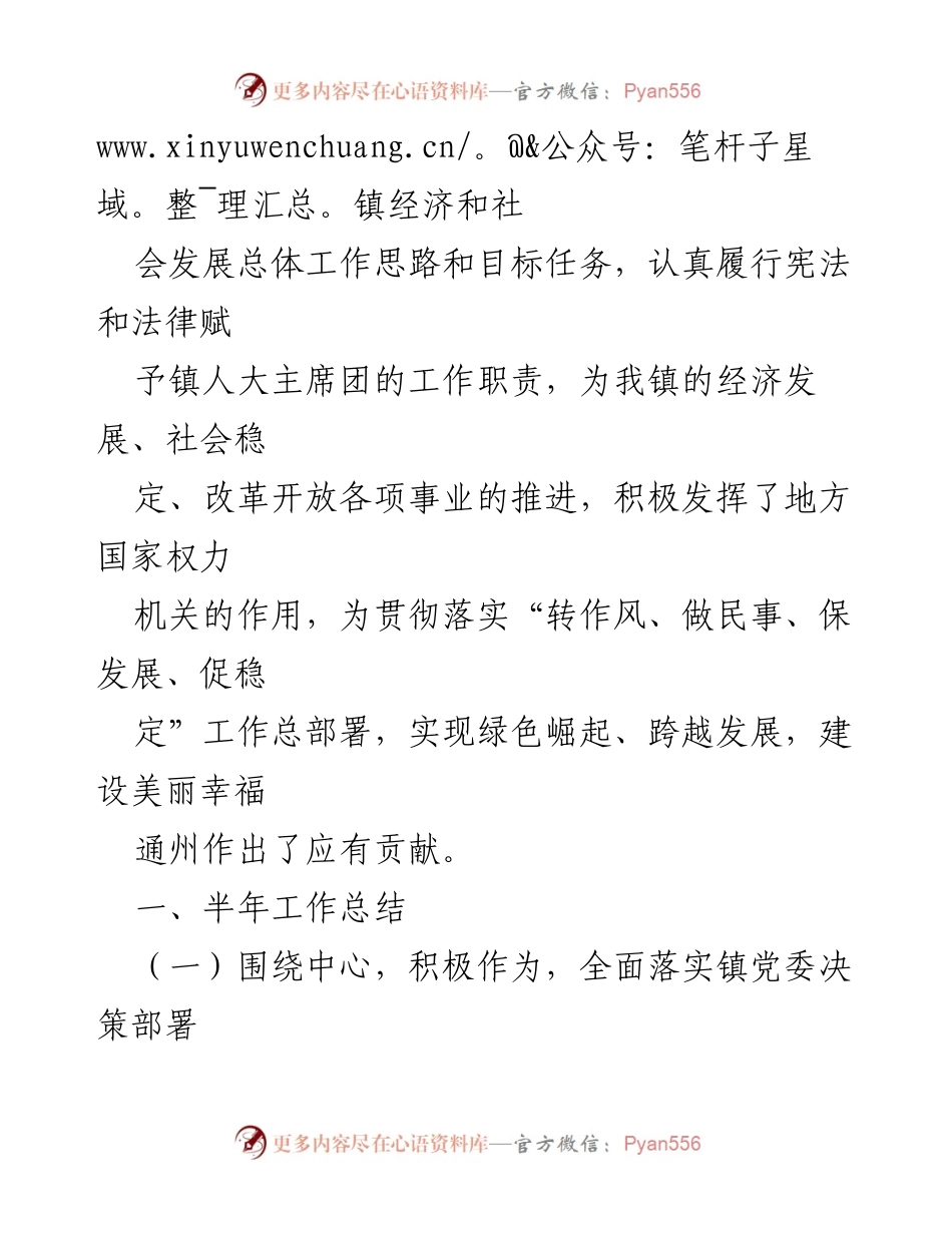 [工作总结] 镇人大 - 2023年半年工作总结与成效分析.docx_第2页