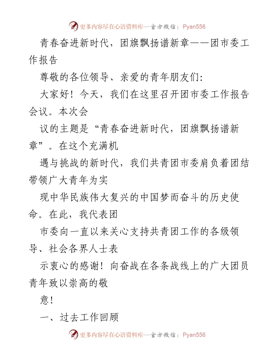 [工作报告] 团市委会议 - 青春奋进新时代，团旗飘扬谱新章.docx_第1页