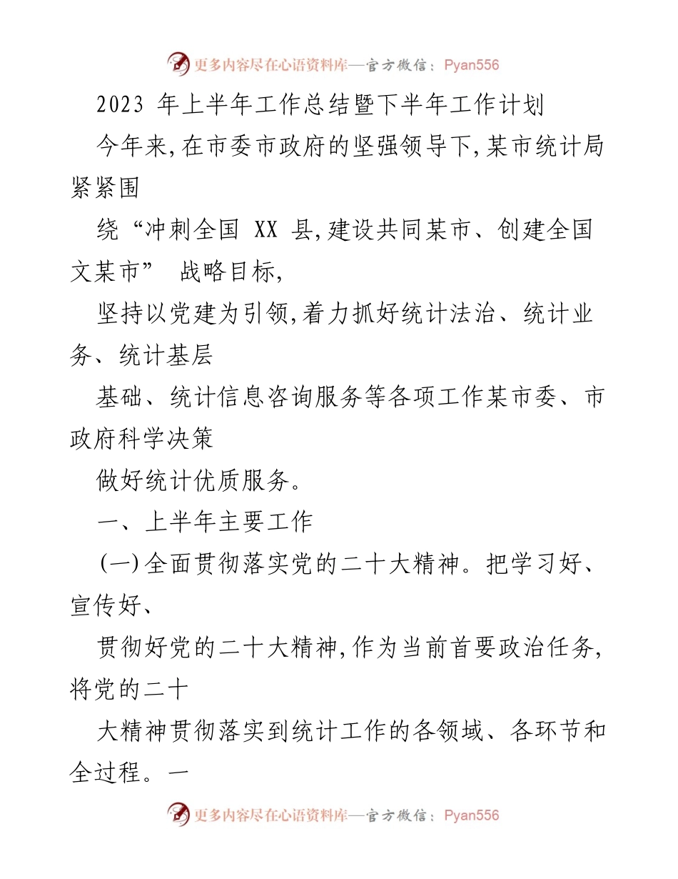 [工作总结] 统计局 - 2023年上半年工作总结与下半年工作计划.docx_第1页