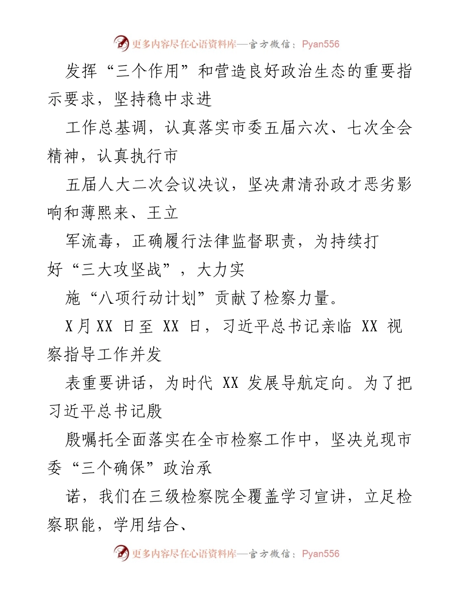 [工作报告] 市人民检察院 - 20XX年检察工作总结与展望.docx_第2页