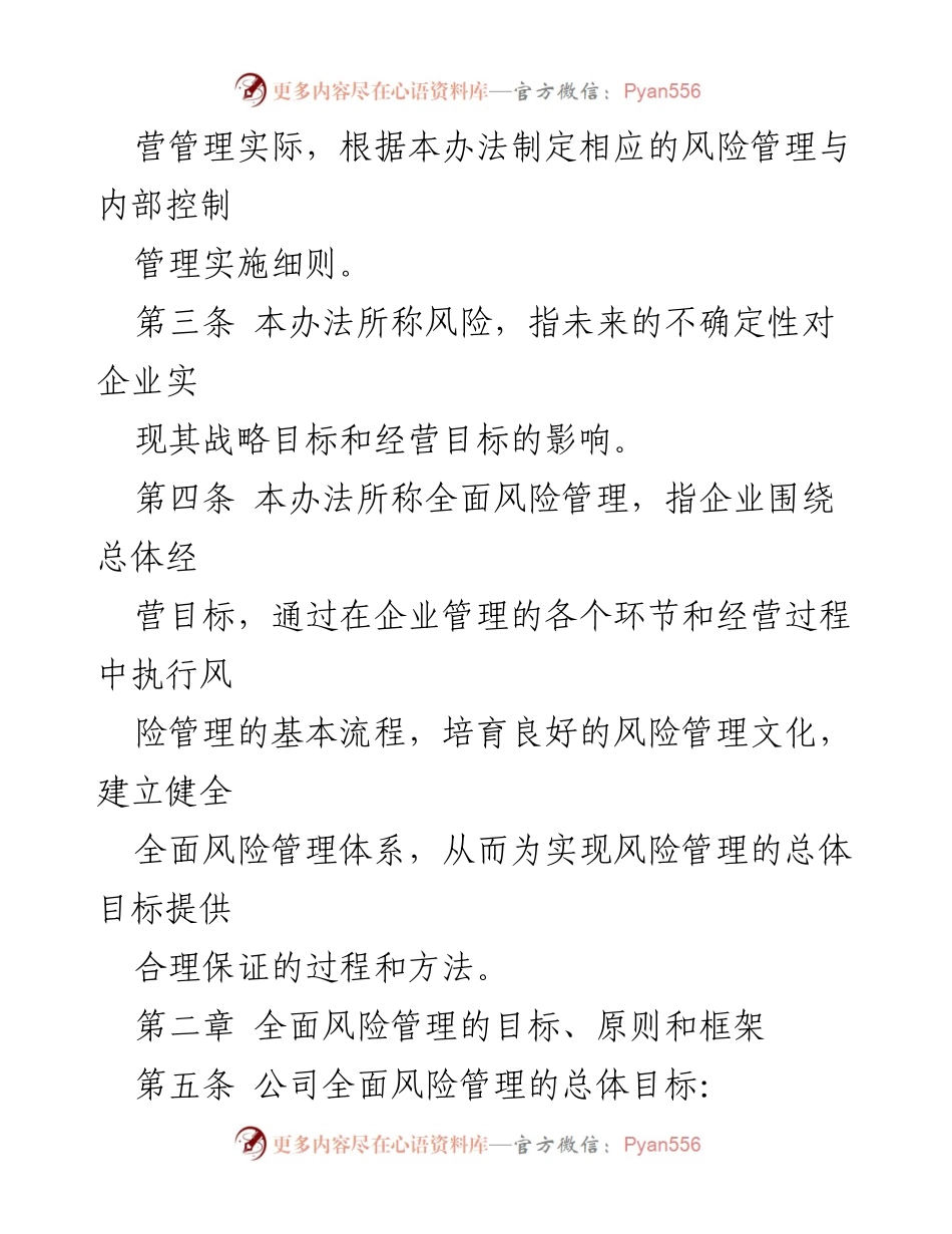 [工作文件] 企业管理 - 某企业全面风险管理办法（参考）.docx_第2页