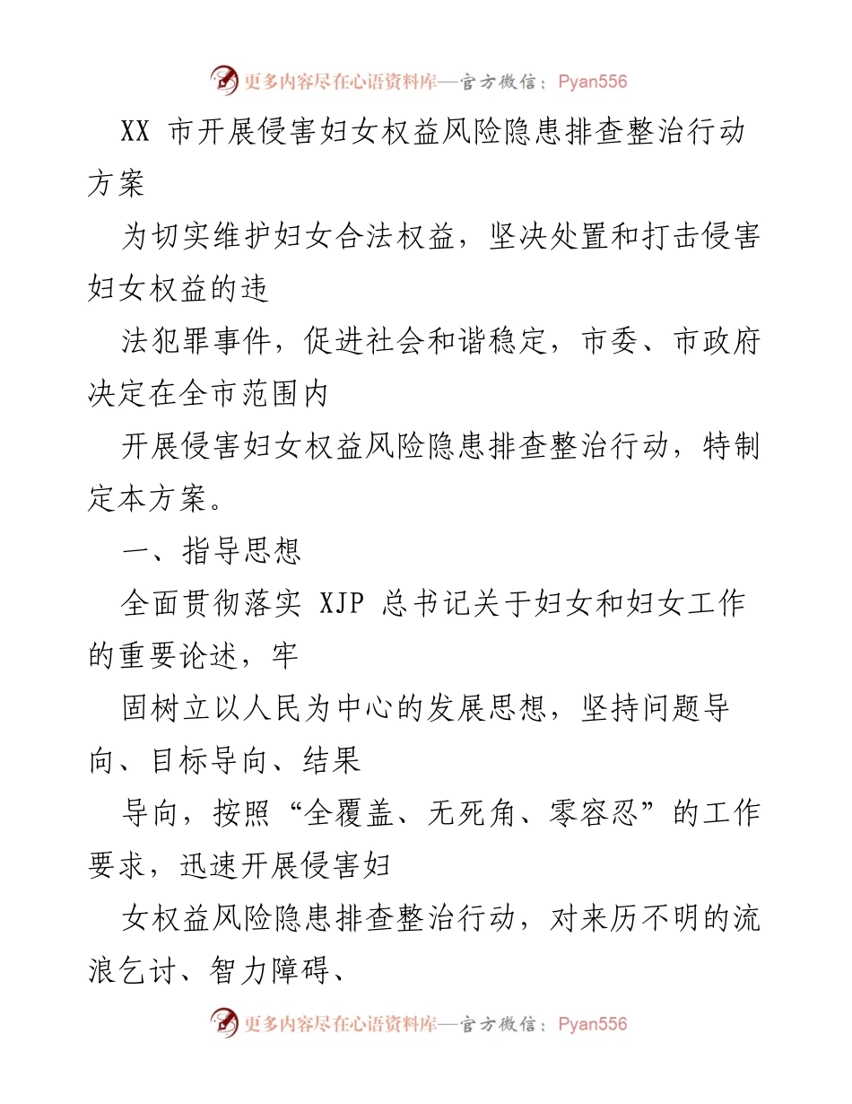 [工作方案] 政府行动 - XX市侵害妇女权益风险隐患排查整治行动方案.docx_第1页