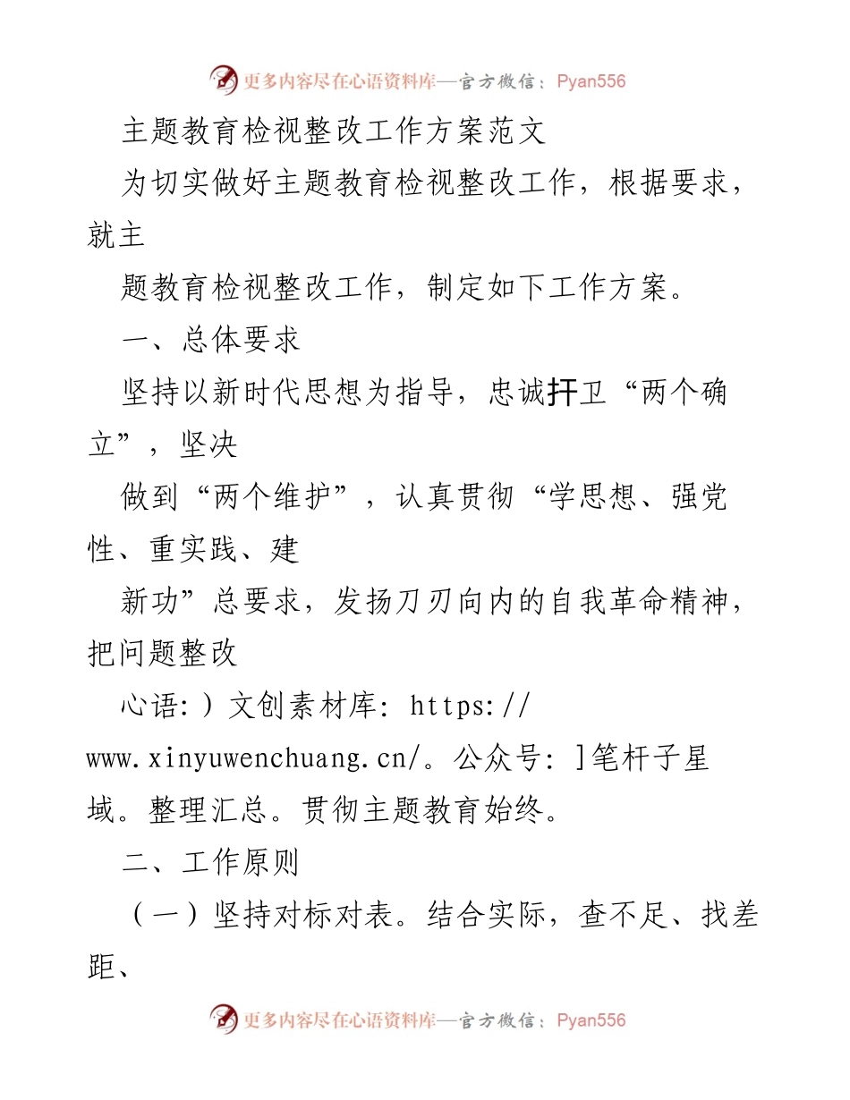 [工作方案] 主题教育 - 主题教育检视整改工作方案指导原则与实施措施.docx_第1页