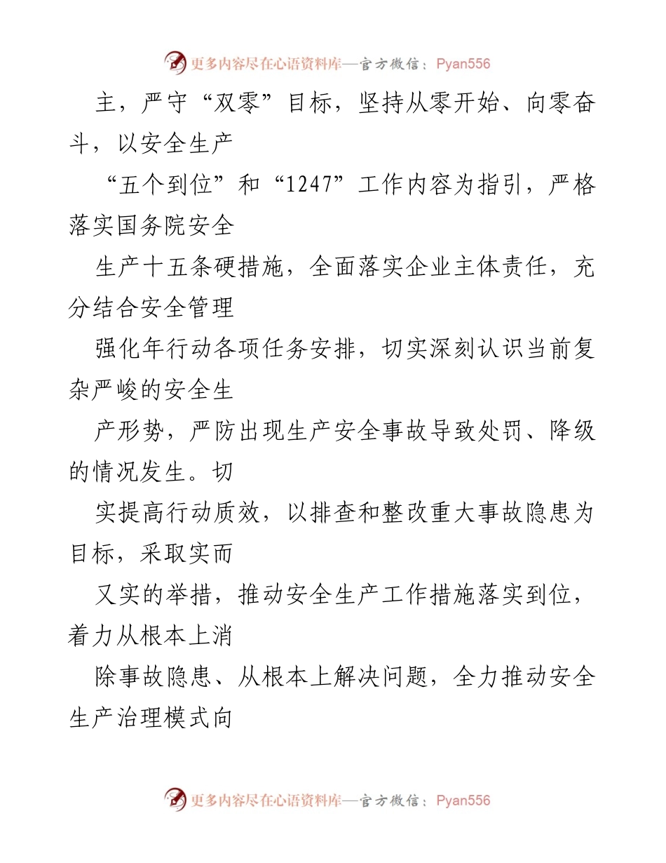 [工作方案] 安全生产 - 重大事故隐患专项排查整治2023行动实施方案.docx_第2页