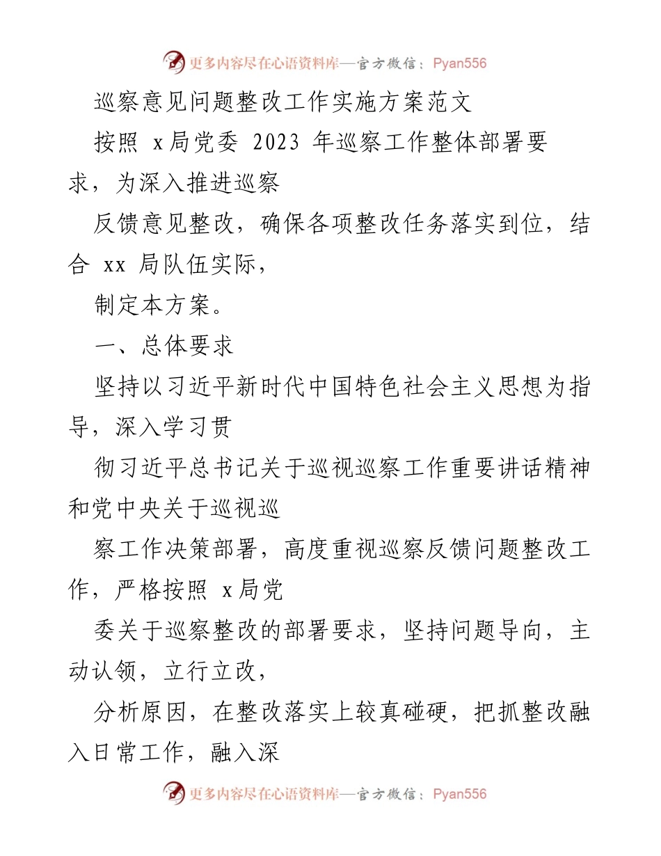 [工作方案] 巡察整改 - 巡察意见问题整改工作实施方案.docx_第1页