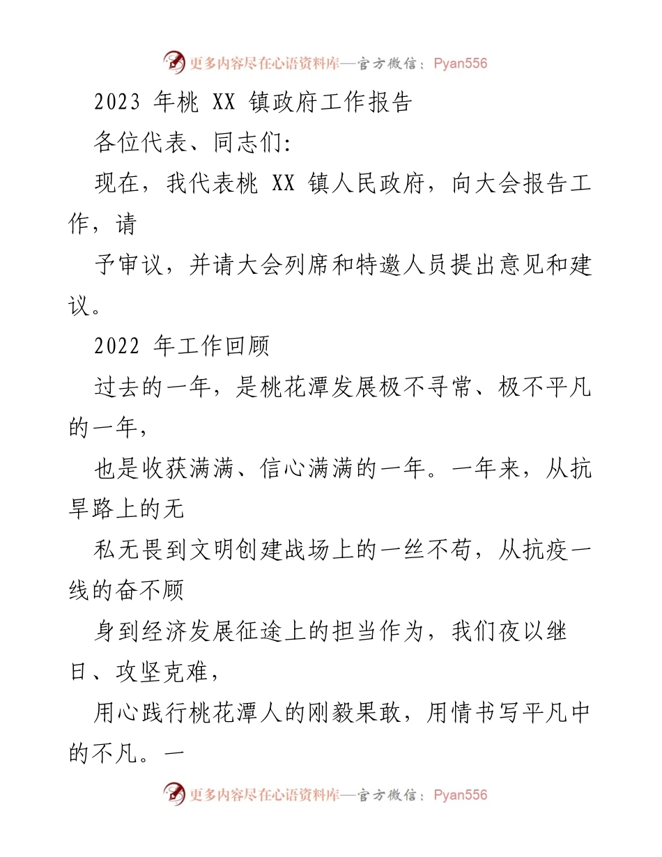 [工作报告] 政府会议 - 桃花潭镇2023年政府工作报告.docx_第1页