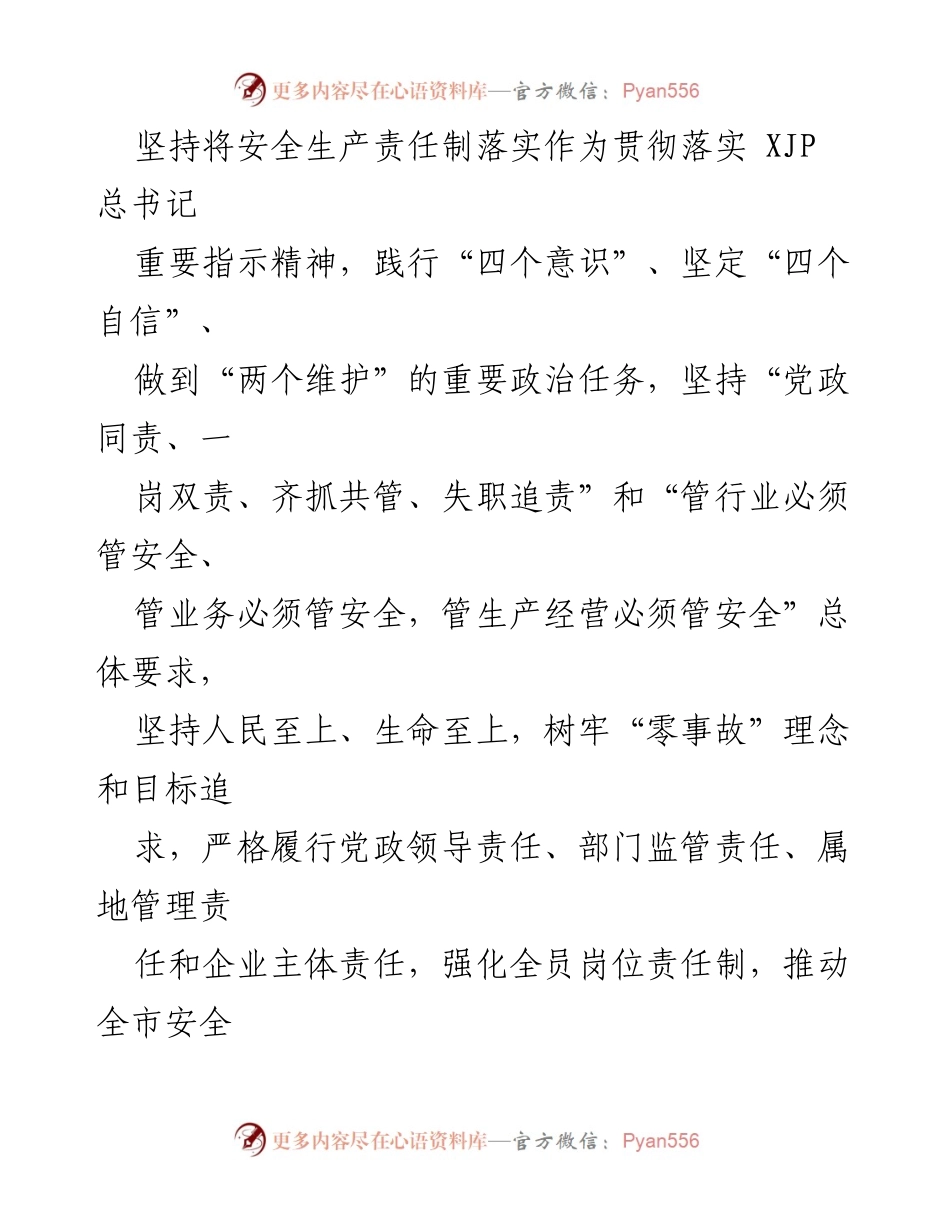 [工作方案] 安全生产会议 - 全面落实安全生产责任的工作方案.docx_第2页