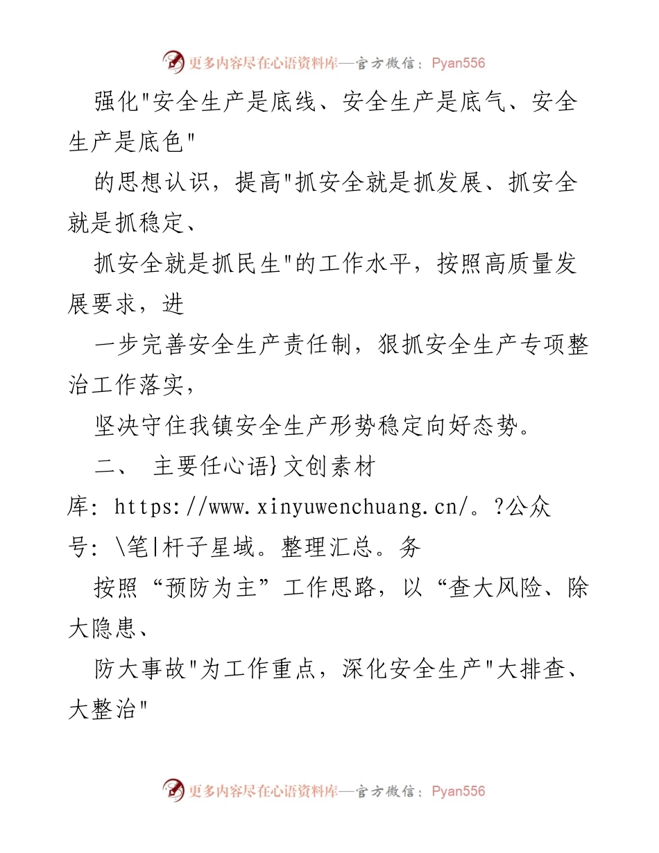 [工作方案] 安全生产 - XX镇安全生产“大排查、大整治”行动实施方案.docx_第2页
